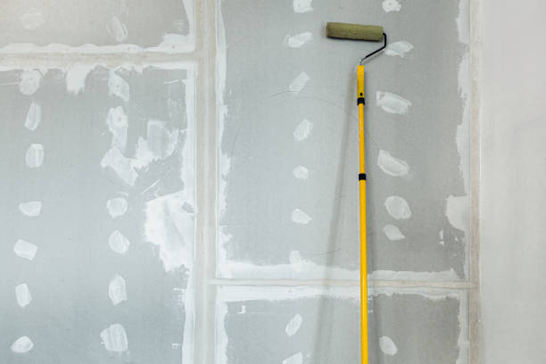  Newhall, IA Dry wall and painting Pros