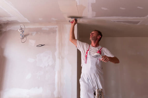 Best Ceiling Drywall Installation  in Newhall, IA