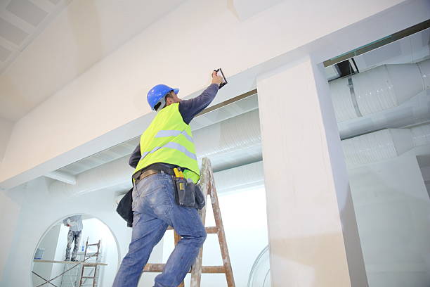 Best Water-Damaged Drywall Repair  in Newhall, IA